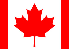 ���ô����