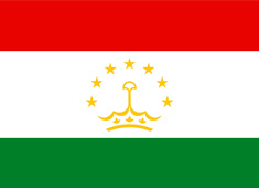 ������˹̹����