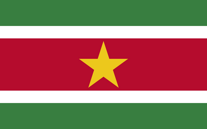 蘇里南國旗圖片