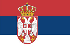 �����S������