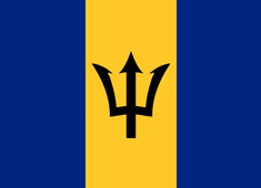 �ͰͶ�˹����