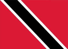 �������_�Ͷ�͸����