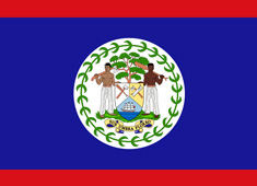 ����Ɲ����