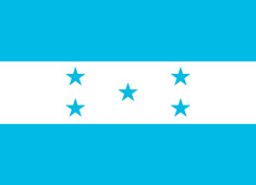 �鶼��˹����