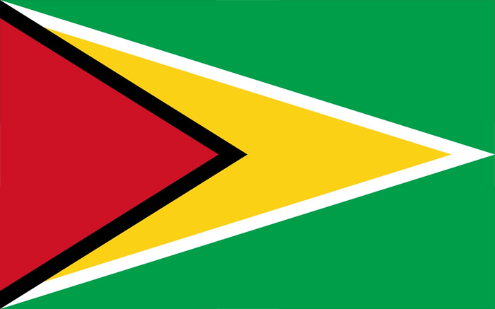 圭亞那國旗圖片