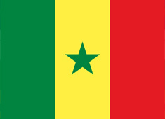 ���ȼӠ�����