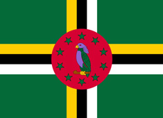 ������ˇ���