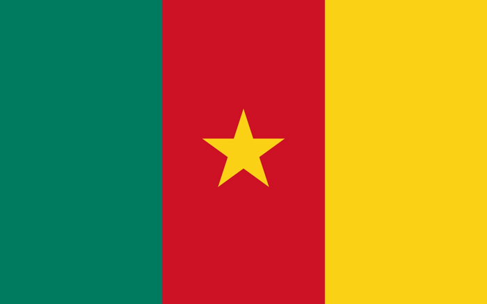 喀麥隆國旗圖片